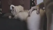 Felix Rae // tattooed bunny girl gets dp fucked and anal creampie with huge dick for Easter