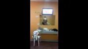 WALANG PAMBAYAD NG RENTA SA BOARDING KAYA NAGPAKANTOT SA OWNER- EKDIC