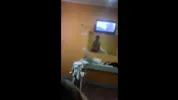 WALANG PAMBAYAD NG RENTA SA BOARDING KAYA NAGPAKANTOT SA OWNER- EKDIC