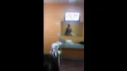 WALANG PAMBAYAD NG RENTA SA BOARDING KAYA NAGPAKANTOT SA OWNER- EKDIC