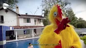 I'm upset with my stepbro, I challenge him to an oil fight match outside the house, if i win we fuck