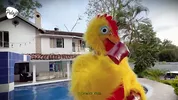 I'm upset with my stepbro, I challenge him to an oil fight match outside the house, if i win we fuck