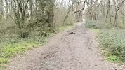 Neighbor Is Ready To Do Anything In The Woods