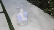 My ex finally asked me to fuck her for the first time