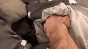 Stepmother and stepson share a bed on a hotel break! My silicone mistress)