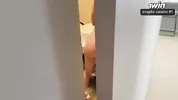 I shared a bed with my sister's friend. It was a rough fuck with a beautiful bitch.