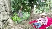 Old farmer fucks his beautiful busty stepdaughter in the field