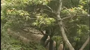 Eve Laurence Is Down On Her Knees Sucking Cock Outdoors, Big Boobs Swinging- Titopia