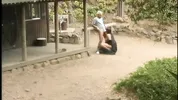 Eve Laurence Is Down On Her Knees Sucking Cock Outdoors, Big Boobs Swinging- Titopia