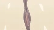 The Coach with Huge Tits Loves Fucking a Big Cock and Then Going Swimming