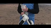 Rough ATM meets surrealist BDSM journey