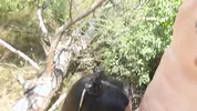 Bi threesome - a cute athletic couple agreed to have sex with a stranger in the woods
