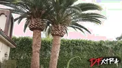 DFXTRA - ''OMG You Want Your Friends To Fuck Your Wife!!'' - Gypsy Rose