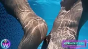 Amateur MILFs by Wifebucket - Our underwater vacation sex