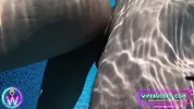 Amateur MILFs by Wifebucket - Our underwater vacation sex