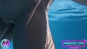 Amateur MILFs by Wifebucket - Our underwater vacation sex