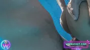 Amateur MILFs by Wifebucket - Our underwater vacation sex