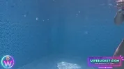 Amateur MILFs by Wifebucket - Our underwater vacation sex