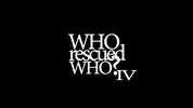 AllHerLuv - Who Rescued Who Pt. IV - Teaser
