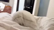 Step Dad, I don’t care if we have to share a bed-Real Amateur homemade- Lacey & Teddy