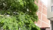 Reconoci a una actriz en la calle mientras entrenaba y la llevo a conocer mi apartamento - Esteban gamboa & Aliciatrece