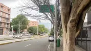Reconoci a una actriz en la calle mientras entrenaba y la llevo a conocer mi apartamento - Esteban gamboa & Aliciatrece