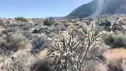 Banging in the Desert Sexy Hiking and Fucking