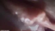 My Pussy Accidentally Swallows Strangers Creampie