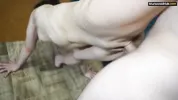 Gymnast with a cool ass moans from a dick in her pussy