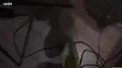 I help my friend with her onlyfans (she forgets the dildo and uses my cock in her ass)