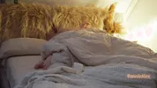 Wake Up Sex. Wife wants sex at night.