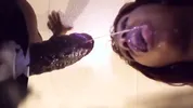 Paris Dewett Slobs all over my dick before I pound on her tight pussy