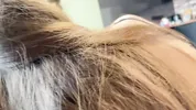 Step sister stopped by for sex