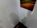 I submit and fuck the toilet girl