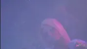 The blonde lesbian gets caught masturbating solo in the forest by her horny brunette friend
