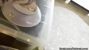 My stepsister woke me up with a blowjob while everyone was asleep