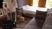 StepMother Visiting StepSon in Rome! Sharing a Bed, But..... What Happened Next? - Lil Elle