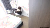 Сводная сестра застукала за дрочкой и позволила мне кончить на ее большие сиськи