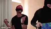 Night Suprise for Alexa