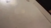 Don Whoe loves to get his Dicked Sucked Compilation 1 Lisa Rivera Paris DeWett Angel Love Cassidy