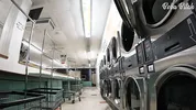 I Locked my Clothes in the Dryer at a Public Laundromat | ENF Public Masturbation and SQUIRT