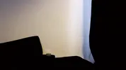 Sexy Babe Best Blowjob