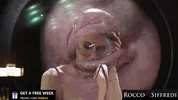 ROCCO SIFFREDI - MONSTER COCK Threesome – Valentina Nappi & Tiffany Tatum Get Wrecked