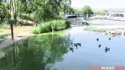 HomemadeXXX - Hot Divorcee Adriana Sweet Blonde On a Blind Date by the River
