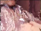 Geeky blonde with glasses loves getting jizzed after hard fuck
