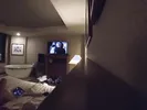 Spontaneous Hotel Hookup