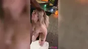 HUGE COCK destroying blonde's pink PUSSY