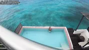escort girl gets fucked and has her face covered in sperm during her vacation to pay for her trip