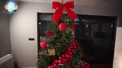 Christmas Night — Me as the Gift
