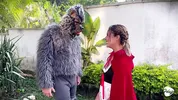 Little Red Riding Hood lost a fruit from her basket and is looking for it in the wolf's pants.